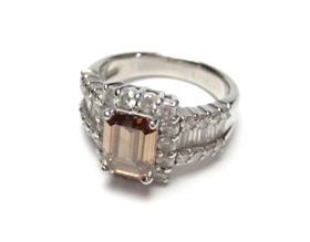 �u���E���_�C�������h