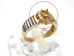 ���v���`�i�w��