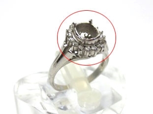 �v���`�i�w��