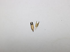 K18�@�y����@0.6g�@5,700�~�̔���