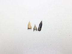 K14���N�M�y���攃��