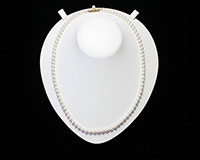 ミキモトK14真珠のネックレスの買取