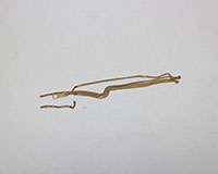 切れたK18ネックレス買取