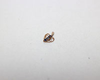 K9ペンダントトップ買取